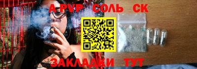 индика Гатчина
