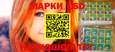 индика Гатчина