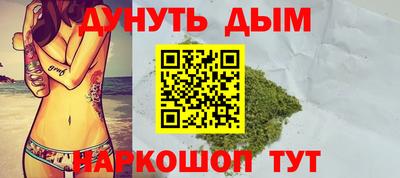 индика Гатчина