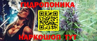 индика Гатчина
