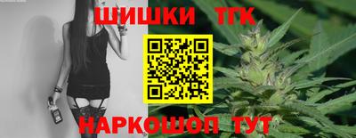 индика Гатчина