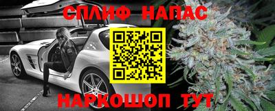 индика Гатчина