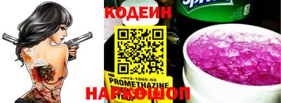 индика Гатчина