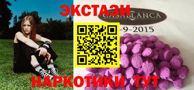 индика Гатчина